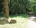 Zdjęcie przedstawia Dolinę Miłości w Zatoni Dolnej. Na pierwszym planie widać ścieżkę i dwa głazy, które pełnią funkcję drogowskazów.                                                                   