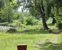 Zdjęcie przedstawia park w Goszkowie. Na pierwszym planie widać polanę i aleję spacerową.                                                                                                               