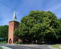 Zdjęcie przedstawia pomnik przyrody - lipę drobnolistną rosnącą przy kościele w Bukowie Morskim.                                                                                                        