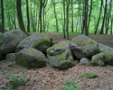 Zdjęcie przedstawia megality w Borkowie.                                                                                                                                                                