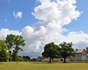 Zdjęcie przedstawia widok na teren parku dworskiego w Trzygłowie                                                                                                                                        
