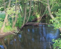 Zdjęcie przedstawia rzekę Grabowa w pobliżu miejscowości Lejkowo.                                                                                                                                       