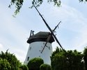 Zdjęcie przedstawia  XIX-wieczny wiatrak holenderski w Lędzinie widoczny ze stojącego na jego terenie ogrodu                                                                                            