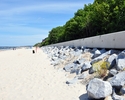 Zdjęcie przedstawia zmodernizowaną, betonową linie brzegową , pas drzew i krzewów rozciągający się zaraz za nią, piaszczystą plażę oraz morze                                                           