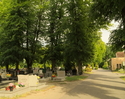Zdjęcie przedstawia fragment  cmentarza komunalnego w Sławnie.                                                                                                                                          