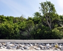 Zdjęcie przedstawia zmodernizowaną, betonową linie brzegową oraz pas drzew i krzewów rozciągający się zaraz za nią                                                                                      