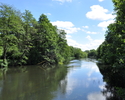 Zdjęcie przedstawia rzekę Regę widzianą z 'czerwonego' mostku w parku                                                                                                                                   