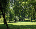 Zdjęcie przedstawia fragment parku przy alejce centralnej w Połczynie-Zdroju.                                                                                                                           