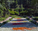 Zdjęcie przedstawia dywan kwiatowy w parku w Połczynie-Zdroju. W głębi widoczne ozdobne krzewy przycięte w formie półkul, z osłaniające urokliwe ławeczki.                                              