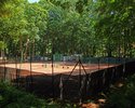 Zdjęcie przedstawia korty tenisowe otoczone parkowymi drzewami w Połczynie-Zdroju. Widok od strony sanatorium Gryf.                                                                                     