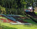 Zdjęcie przedstawia dywan kwiatowy przy schodach prowadzących do sanatorium Podhale i kortów tenisowych w  parku w Połczynie-Zdroju.                                                                    