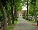 Zdjęcie przedstawia cmentarz komunalny Myśliborzu                                                                                                                                                       