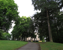 Zdjęcie przedstawia park pałacowy w Karwicach.                                                                                                                                                          