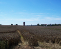 Zdjęcie przedstawia panoramę na pole. W oddali Wieża Ciśnień.                                                                                                                                           