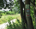 Zdjecie przedstawia oznaczenia na drzewie dotyczące ścieżek rowerowych.                                                                                                                                 