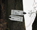 Zdjęcie przedstawia oznaczenia szlaków na drzewie.                                                                                                                                                      