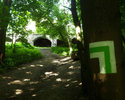 Zdjęcie przedstawia oznakowanie szlaku na drzewie i drogę prowadzącą do ruin wieży Quistorpa                                                                                                            