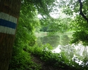 Zdjęcie przedstawia oznakowanie szlaku na drzewie nad jeziorkiem                                                                                                                                        