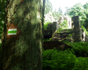 Zdjęcie przedstawia oznakowanie szlaku na drzewie w tle ruiny                                                                                                                                           