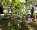 Widok ogólny na grobowce na cmentarzu komunalnym                                                                                                                                                        