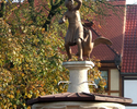 Widok przedstawia fontannę  z figurą gęsiarki usytuowaną  na  starym rynku miasta.                                                                                                                      