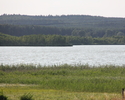Jezioro Koprowo od strony wsi Rekowo                                                                                                                                                                    
