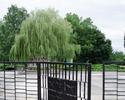 Zdjęcie przedstawiające bramę wejściową na cmentarz.                                                                                                                                                    