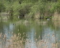 Zdjęcie przedstawia Jezioro Korytowo                                                                                                                                                                    
