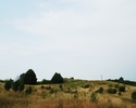 Zdjęcie przedstawia Wzgórze Bombardierów znajdujące się na osiedlu Podjuchy.                                                                                                                            
