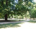 Zdjęcie przedstawia ścieżkę spacerową w Parku Andersa.                                                                                                                                                  