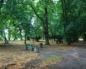 Zdjęcie przedstawia widok a park i znajdujące się w nim ścieżki spacerowe.                                                                                                                              