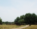 Zdjęcie przedstawia widok na ścieżkę spacerową znajdującą się w Międzyosiedlowym Parku Rekreacyjnym w Szczecinie.                                                                                       