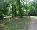 Zdjęcie przedstawia park przy ulicy Wapiennej ze ścieżką spacerową.                                                                                                                                     