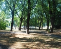 Zdjęcie przedstawia Park Pomorzański.                                                                                                                                                                   