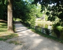 Zdjęcie przedstawia ścieżkę spacerową oraz jeziorko znajdujące się w Parku Dąbrowskiego.                                                                                                                
