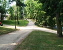 Zdjęcie przedstawia ścieżki spacerowe w Parku Dąbrowskiego.                                                                                                                                             
