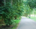 Zdjęcie przedstawia ścieżkę biegnącą na skraju Parku Fredry.                                                                                                                                            
