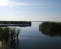 Zdjęcie przedstawia widok na Jezioro Resko Przymorskie  jego zachodniego brzegu.                                                                                                                        