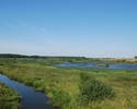 Zdjęcie przedstawia mokradła Pyszka wraz z otoczeniem.                                                                                                                                                  