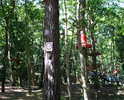 Widok ogólny na kompleks wspinaczkowy wśród drzew                                                                                                                                                       
