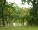 Widok przedstawia park doworski w Batowie.                                                                                                                                                              