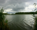 Widok przedstawia Jezioro Będzin.                                                                                                                                                                       