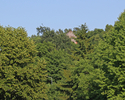 Zdjęcie przedstawia wieżę widokową otoczoną roślinnością parku miejskiego w Świdwinie. Widok od strony ulicy Żeromskiego.                                                                               