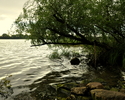 Zdjęcie przedstawia Jezioro Czernikowskie                                                                                                                                                               