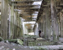 Zdjęcie przedstawia ruiny byłej fabryki benzyny syntetycznej.                                                                                                                                           