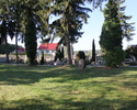 Na zdjęciu widnieje cmentarz w Binowie                                                                                                                                                                  