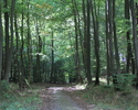 Na zdjęciu widnieje Rezerwat przyrody Osetno.                                                                                                                                                           