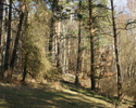 Widok przedstawia obszar Chronionego Krajobrazu D (Choszczno-Drawno).                                                                                                                                   
