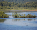 Zdjęcie przedstawia jezioro Prosino.                                                                                                                                                                    