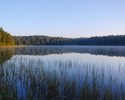 Zdjęcie przedstawia jezioro Czarnówek.                                                                                                                                                                  
